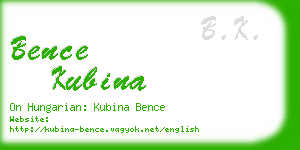 bence kubina business card